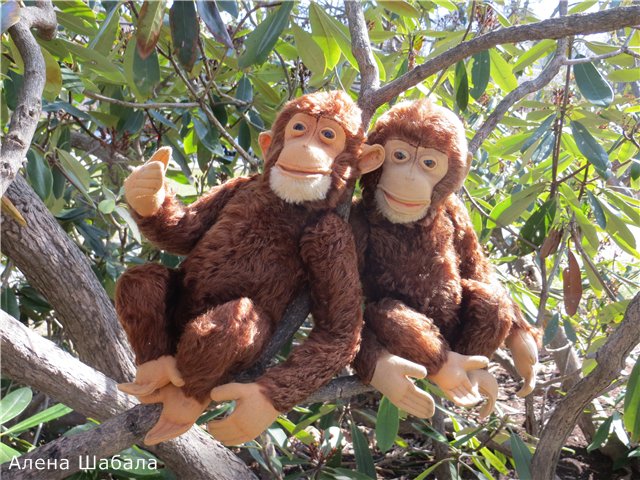 Старый Steiff. Яков и Матвей