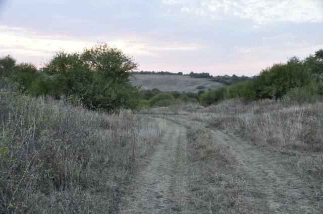 Плюшечки - ватрушечки. Куклы Heidi Plusczok