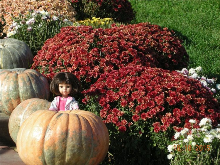 Первые прогулки Алисы — Фэшн