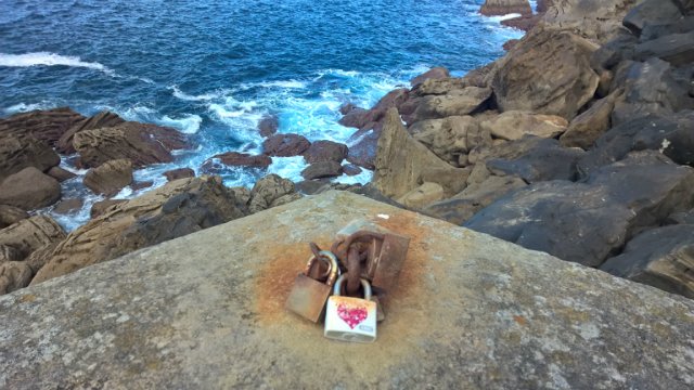 Пегий пёс, бегущий краем моря