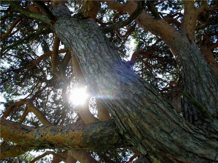 Субботний вояж. Часть первая