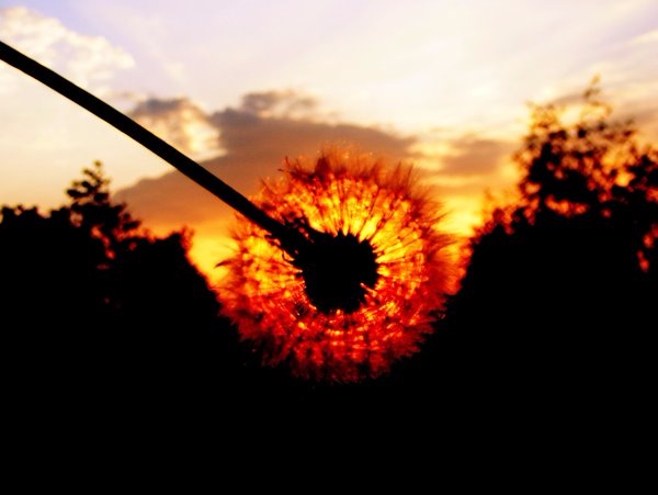 Осень. Сказка для взрослых