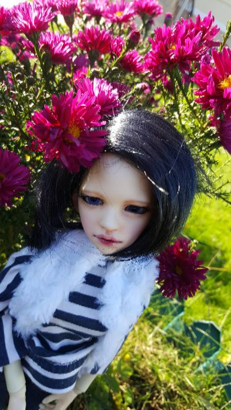 И снова Дим — Куклы DIM (Doll in Mind): корейские BJD (БЖД) (фото 4)