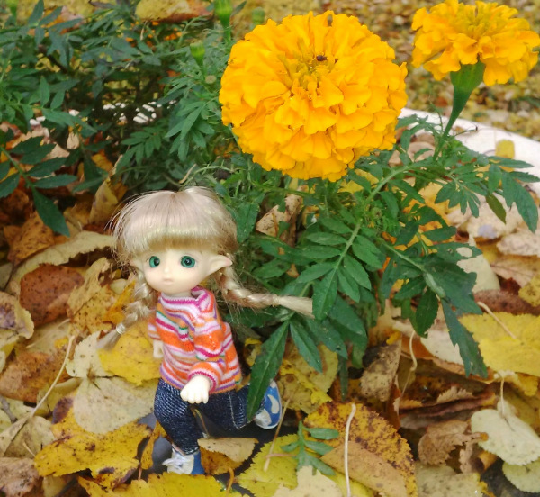 И снова Юлька — Куклы Brownie (Брауни) Felix Doll: Tiny BJD (БЖД) (фото 4)