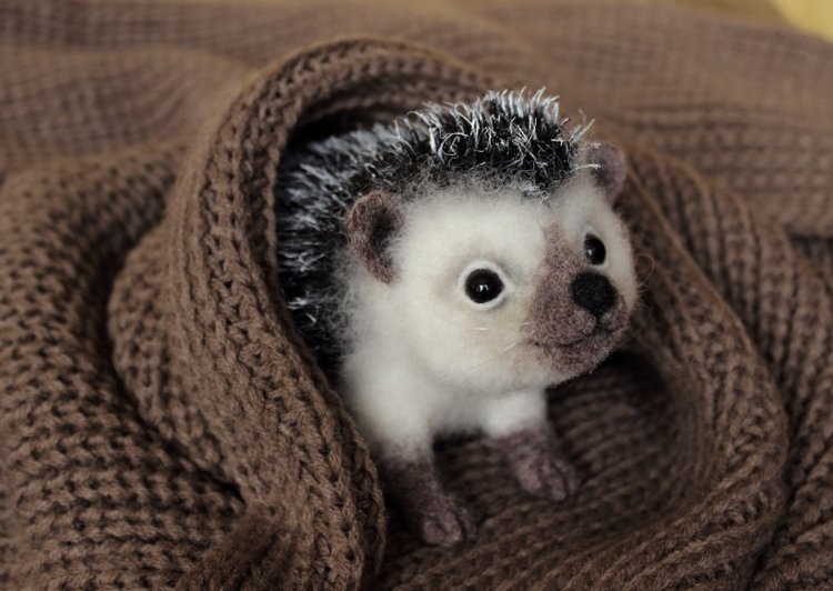 Ежуня. Валяние из шерсти — Валяные игрушки из шерсти: сухое валяние (фото 9)