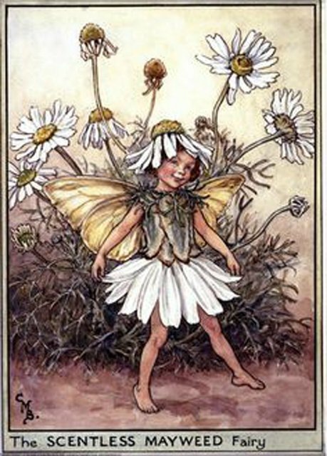 Куклы бабочки - очарование лёгкости