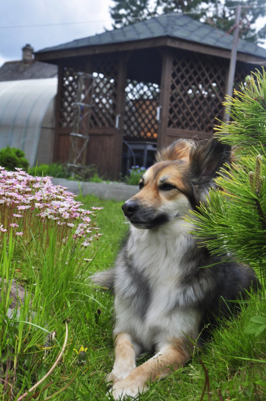 Отчёт за май и всё лето — Авторские мишки Тедди и друзья: фото