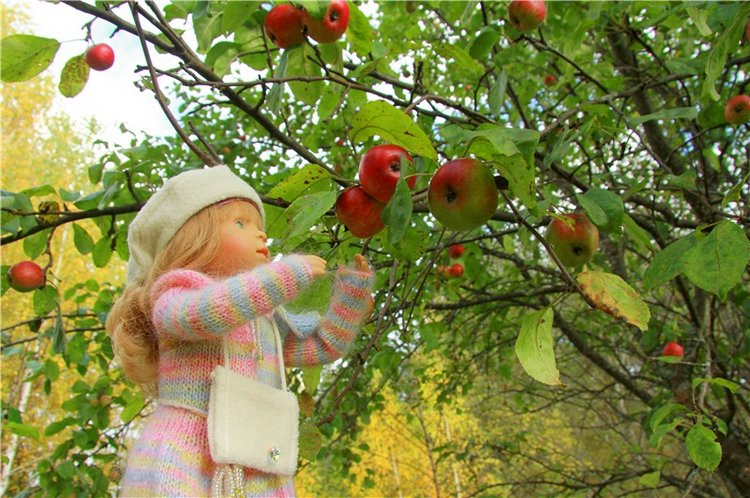 Тверской Водопад — Туризм и путешествия: фотоотчеты из поездок