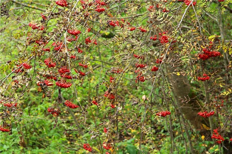 Тверской Водопад — Туризм и путешествия: фотоотчеты из поездок