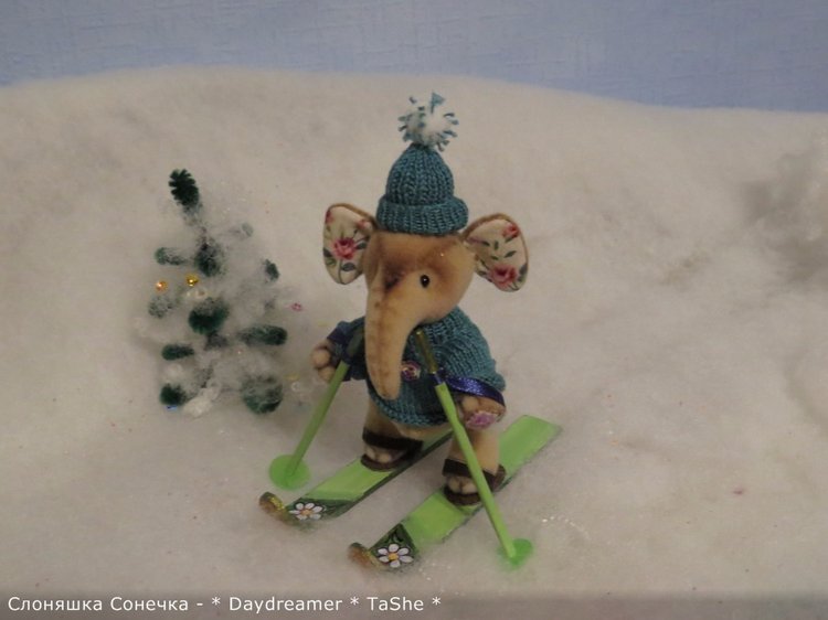 И теперь уже второй слоненок... и снова девочка