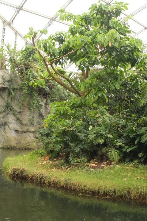 По Германии: зоопарк Лейпцига, часть 2