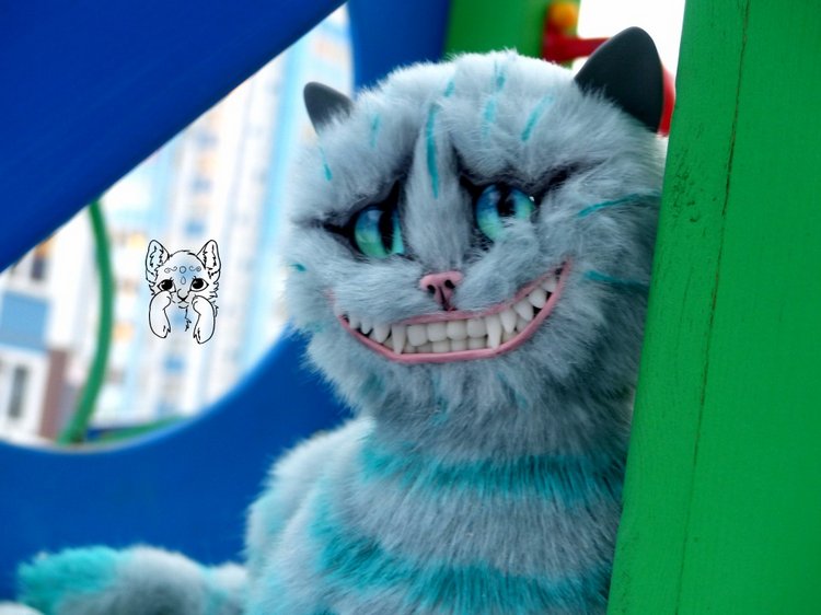 Вернулись.. И снова котики... чеширики (фото 3)