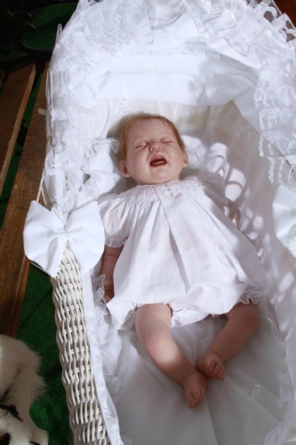 Мои куклы реборн в декорациях