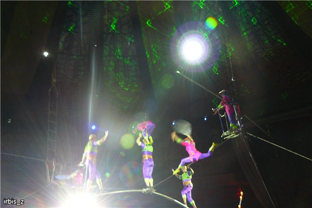 Вот так чудеса или как Ариэль в Большой Московский Цирк ходила. PukiFee Ante Ариэтти, PukiFee Bonnie Ариэль