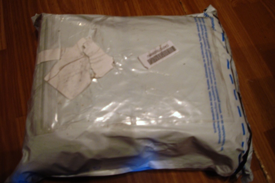 Полинка приехала! Кукла БЖД, пукифи Зио (фото 2)