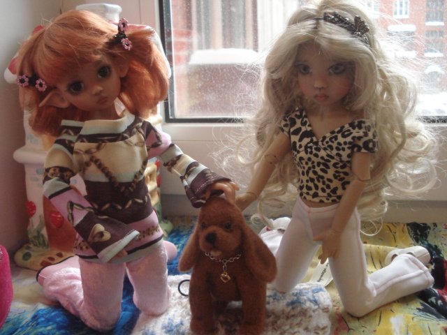 Ура! Мне подарили собаку! Лили и Тилли от Kaye Wiggs обзавелись питомцем (фото 7)