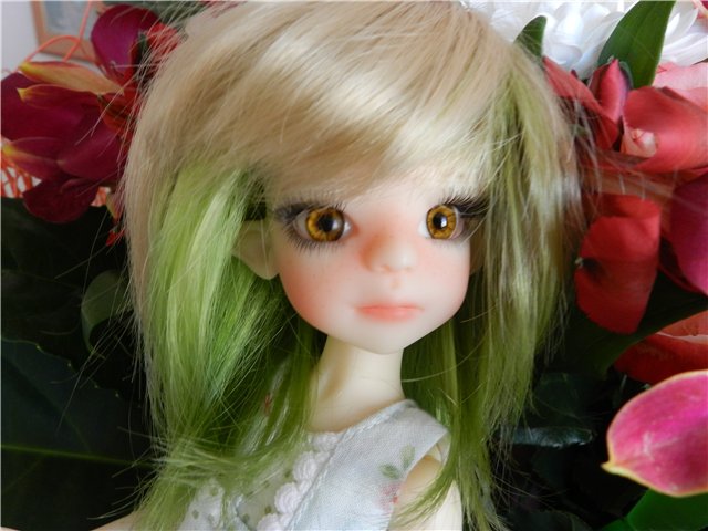 Nut Meg by Kaye Wiggs