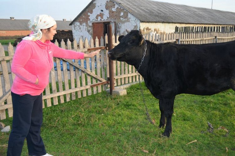 Моя поездка на выставку "VI Международный салон Модна лялька" Киев | Бэйбики Моя поездка на выставку "VI Международный салон Модна лялька" Киев