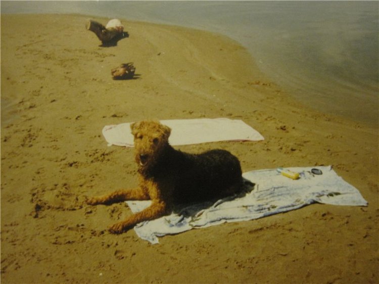 По мотивам "Варежки" — Другие хобби и увлечения: сад (фото 4)