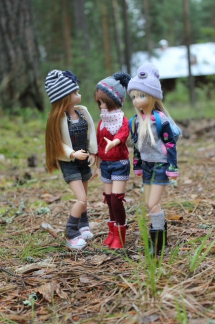 Японские девочки azone pure neemo в русском лесу (фото 4)