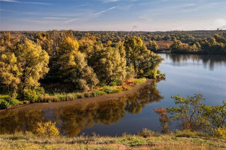 В сентябре пришло к нам лето! Мальва Zwergnase, мой рыжий эльфик (фото 3)