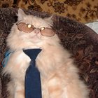 Когда уходит дорогое существо