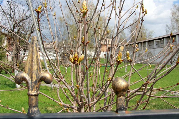 Путешествие в Старицу накануне Светлой Пасхи. Часть вторая | Бэйбики Путешествие в Старицу накануне Светлой Пасхи. Часть вторая (фото 7)