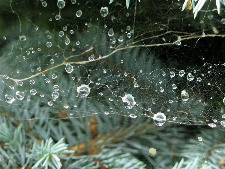 Кашин - город русского сердца. Часть седьмая. Вознесенский кафедральный собор