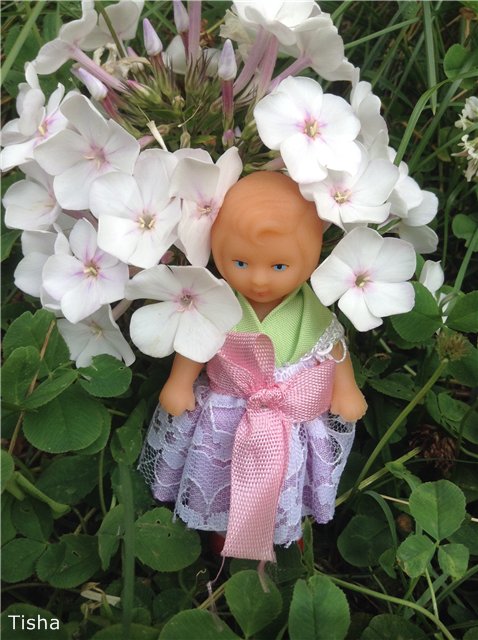 Малышки Аришки и две неизвестные мне Немочки (фото 10)