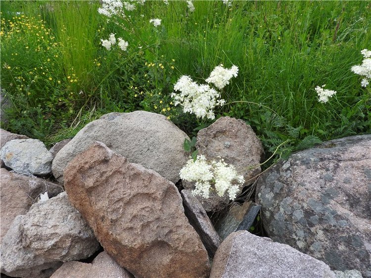 Любителям маленьких кукол