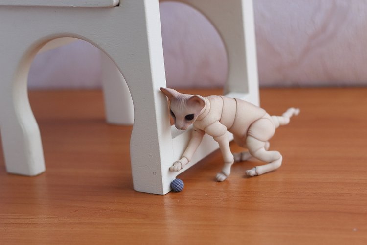 Кот играет с мячиком — Разные куклы BJD (БЖД): редкие бренды