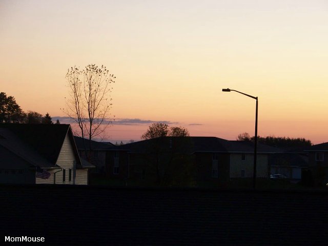 Очаровательные ангелы от Fayzah Spanos (фото 4)