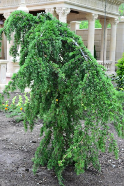 Старый парк — Туризм и путешествия: фотоотчеты из поездок