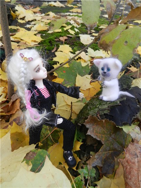 Возвращение Элизы (БЖД от Планетдолл) (фото 7)