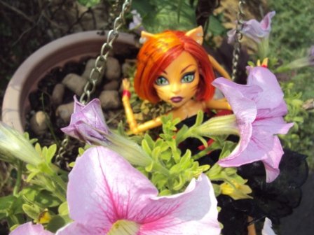 Monster High: Как две красавицы гулять в сад ходили