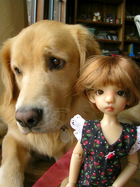 Хорошему наряду каждая Каешка рада - наши милые модели от Kaye Wiggs