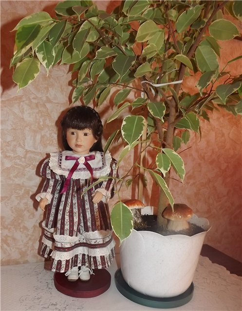 Винтажные куклы - начало коллекции (фото 9)