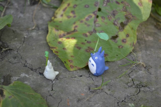 Мой сосед ТОТОРО: пополнение миниколлекций от студии Ghibli (фото 2)