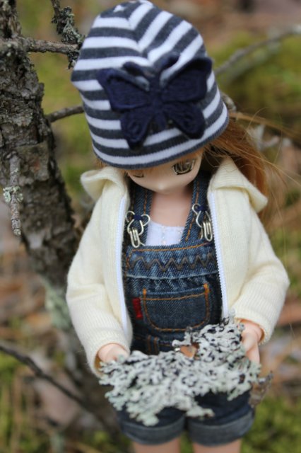 Японские девочки azone pure neemo в русском лесу (фото 7)