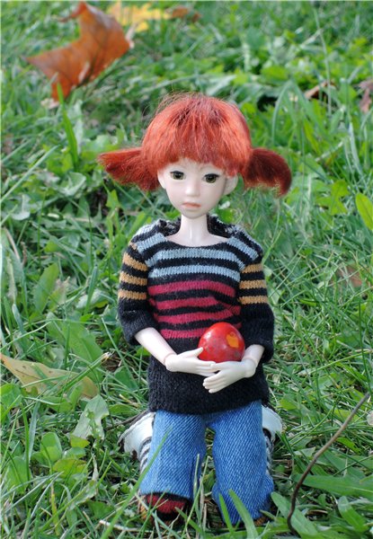 Рябиновый день — Куклы и тела Obitsu (Обитсу): 1/6 (фото 10)