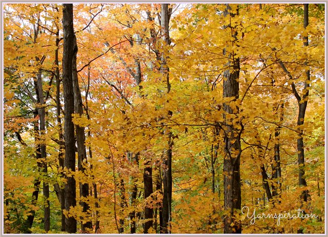 "Скинуло кафтан зелёный лето..." - Игровые куклы Magic Attic Club от Robert Tonner