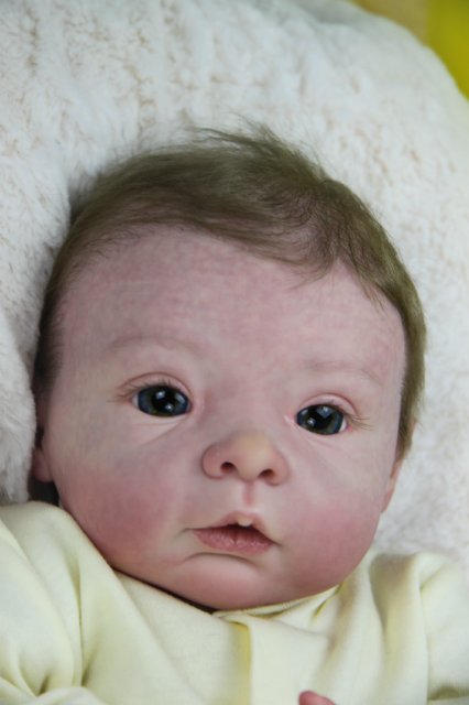 Софийкин! Кукленок реборн Виктории Вишни