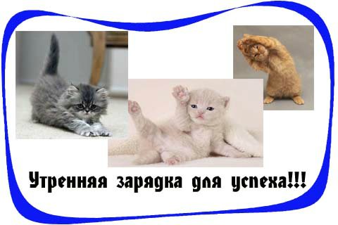 10 секретов здоровья — Болталка и разговоры обо всем: жизнь (фото 8)