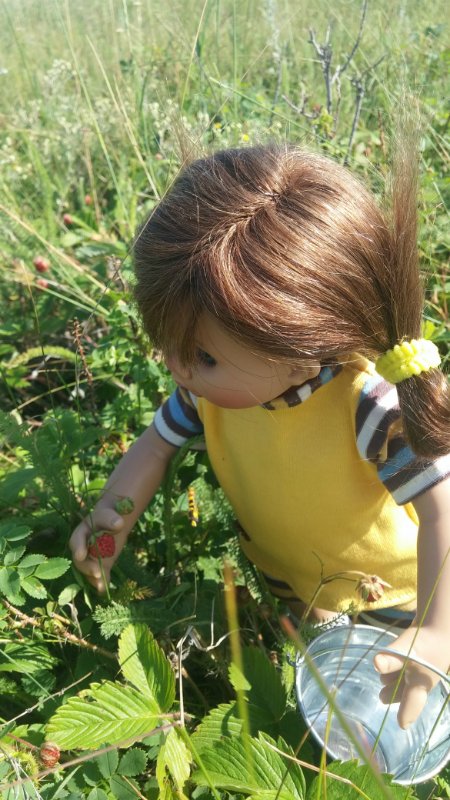 Земляничный день — Домашние коллекции кукол: фото собраний