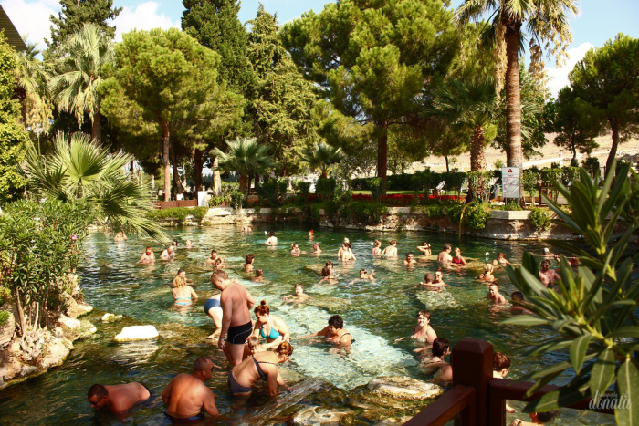 Как Фиби в отпуск съездила. Авторская бжд-мышка Лидии Снуль