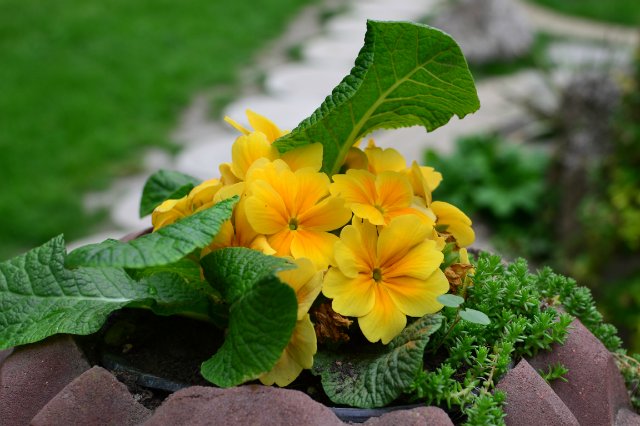 Старый парк — Туризм и путешествия: фотоотчеты из поездок