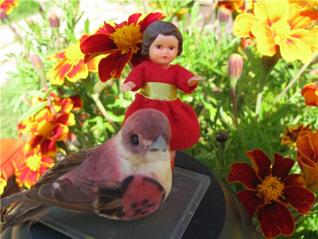 Немецкие куклы-пупсики Ари (ARI)