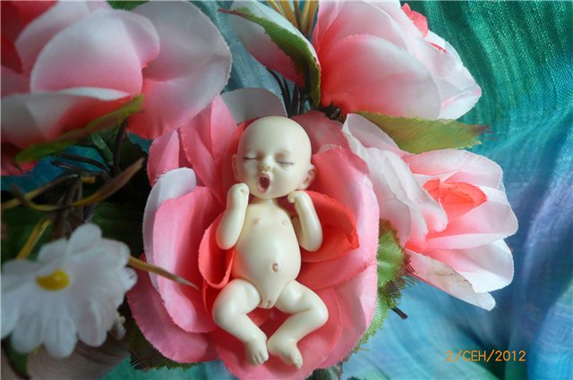 Алисочка. Младенец БЖД — Разные куклы BJD (БЖД): редкие бренды