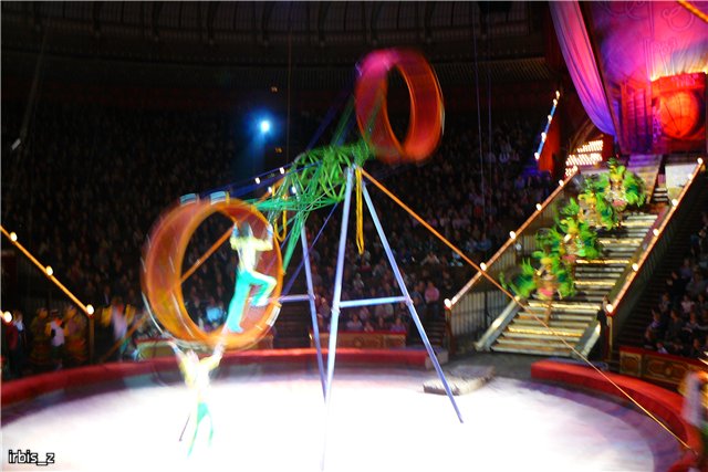 Вот так чудеса или как Ариэль в Большой Московский Цирк ходила. PukiFee Ante Ариэтти, PukiFee Bonnie Ариэль