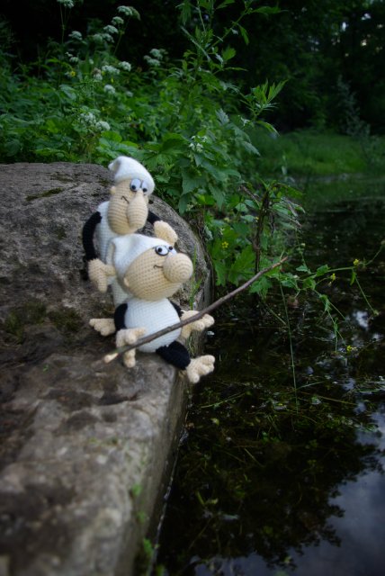 Как Кржемелик и Вахмурка ходили рыбу ловить (фото 9)